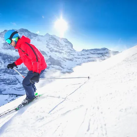 Allod Park Haus C 202 By Interhome Appartamento Davos